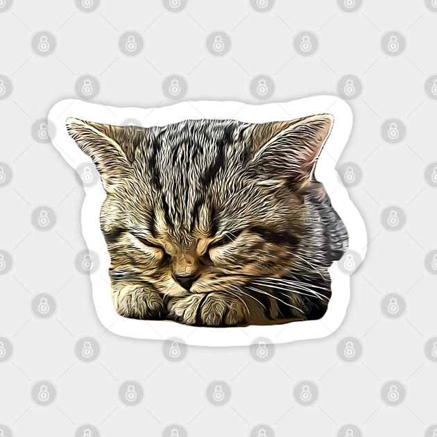 American Shorthair Cat Sticker by ElegantCat